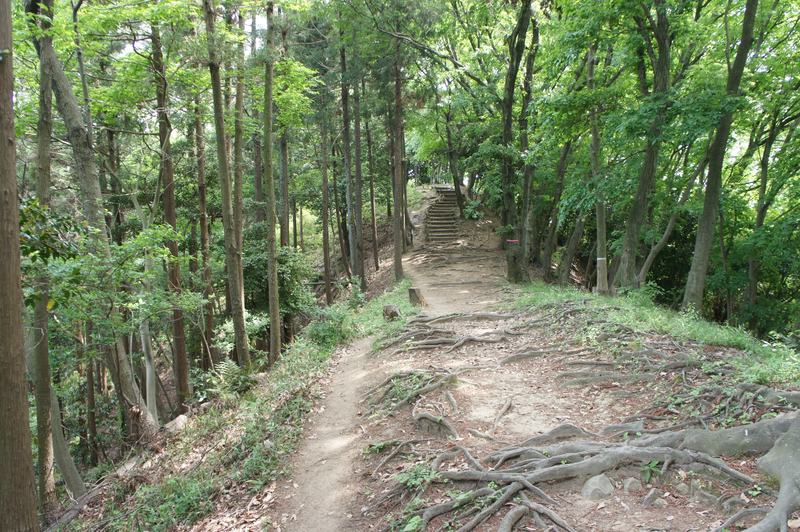 県立七沢森林公園の写真1