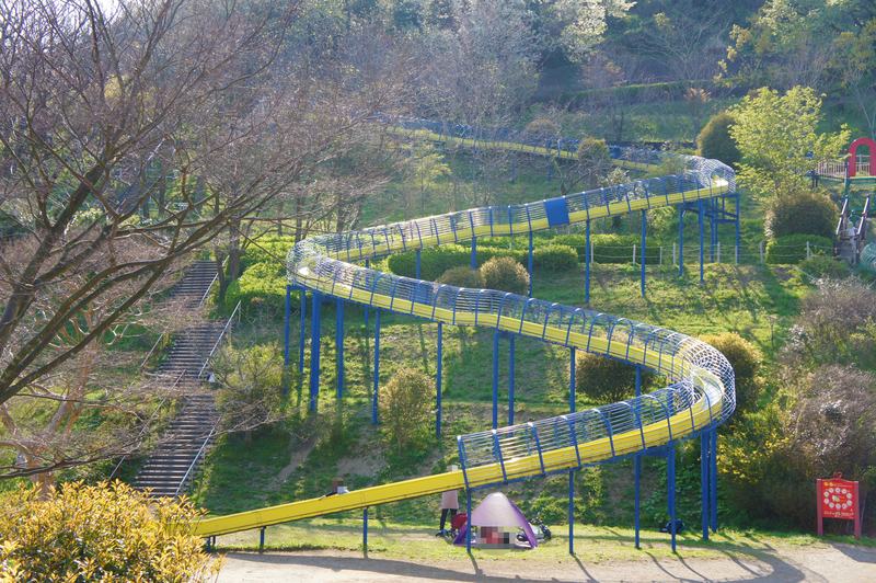 金沢自然公園 植物区エリアの写真1