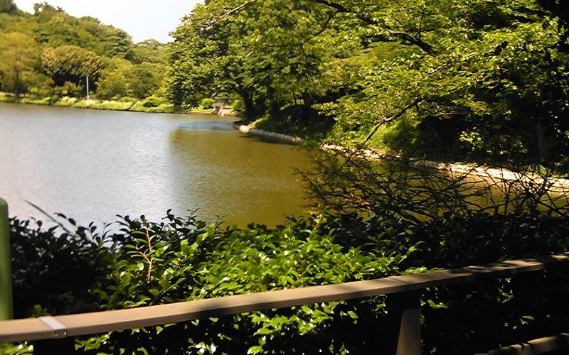 三ツ池公園 神奈川県横浜市 子供とお出かけオデッソ