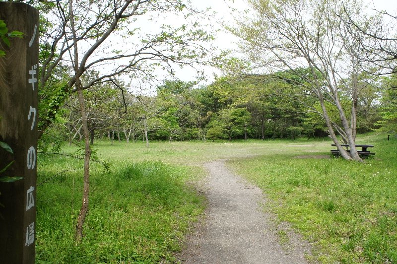 横浜自然観察の森の写真1