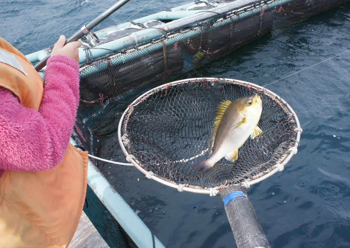 筏釣りの東海 静岡県熱海市 子供とお出かけオデッソ