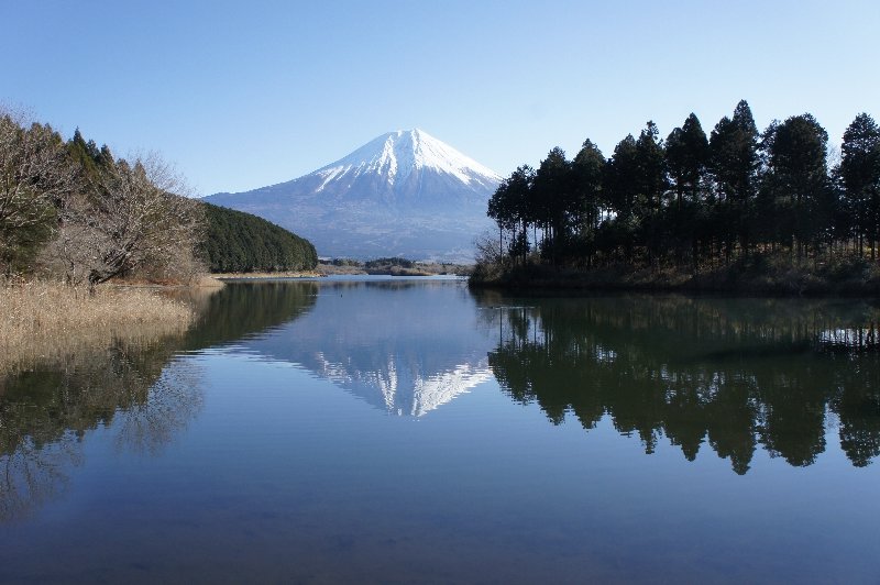 田貫湖の写真1