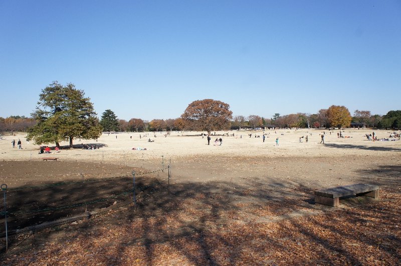 国営昭和記念公園の写真1