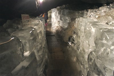 鳴沢氷穴