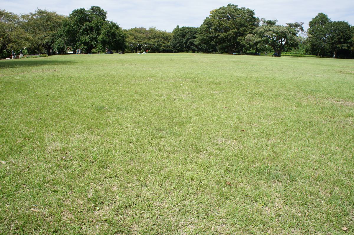 【関東近郊】大きな芝生広場のある公園15選！混雑無縁で子供とのびのび遊べる！