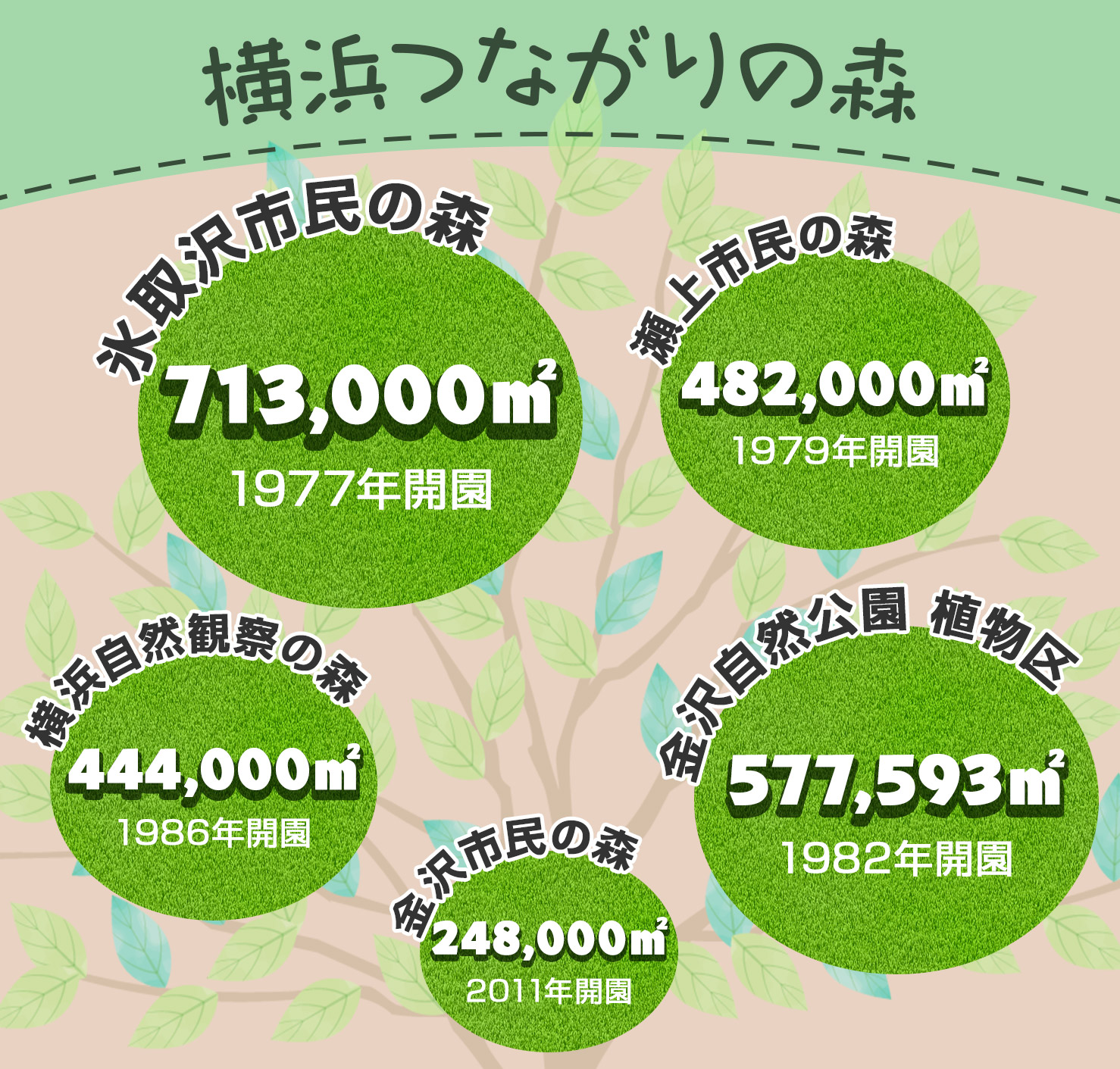 「横浜つながりの森」のハイキング全5コース！大自然の中を子供と手軽に歩けます。