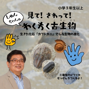８/9（土）見て！さわって！しゅんちゃんのわくわく古生物