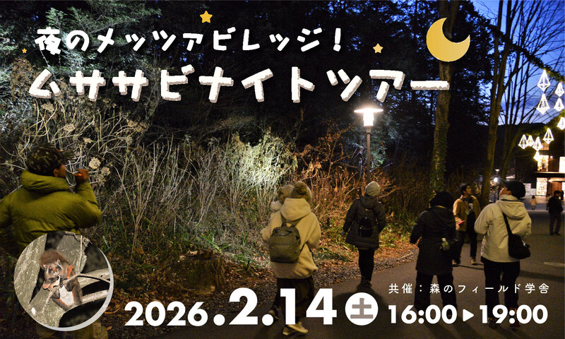 夜のメッツァビレッジ！ムササビナイトツアー