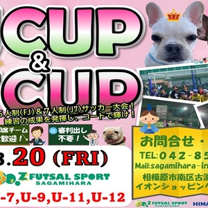年度最後の思い出作り♪３月２０日、FJCUP＆J7CUP開催決定???