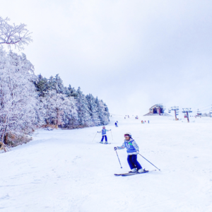 菅平レベルアップスキー　 3/26(木)～29(日)　【3泊4日】