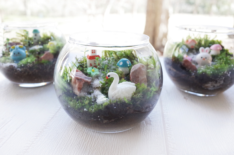 GW＆初夏限定　陶芸｢小さな森のテラリウム｣づくり