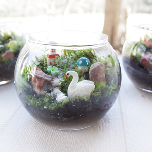 GW＆初夏限定　陶芸｢小さな森のテラリウム｣づくり