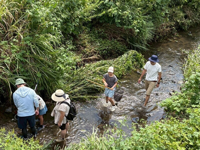 水辺の生きもの観察会 ～水辺のすみかでともだちを見つけよう！