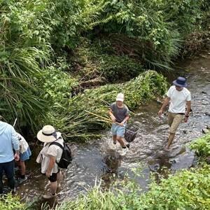 水辺の生きもの観察会 ～水辺のすみかでともだちを見つけよう！