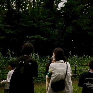 夜のホタル観察会 ～ホタルの光のひみつを見つけにいこう！