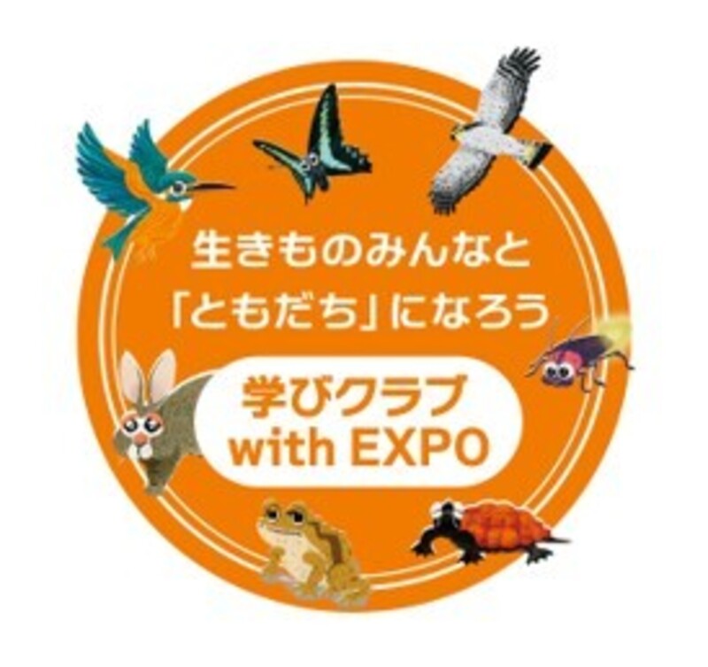 公園を探索、夜のいきもの観察イベント
