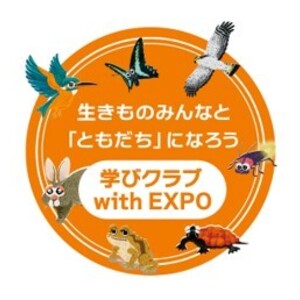 公園を探索、夜のいきもの観察イベント