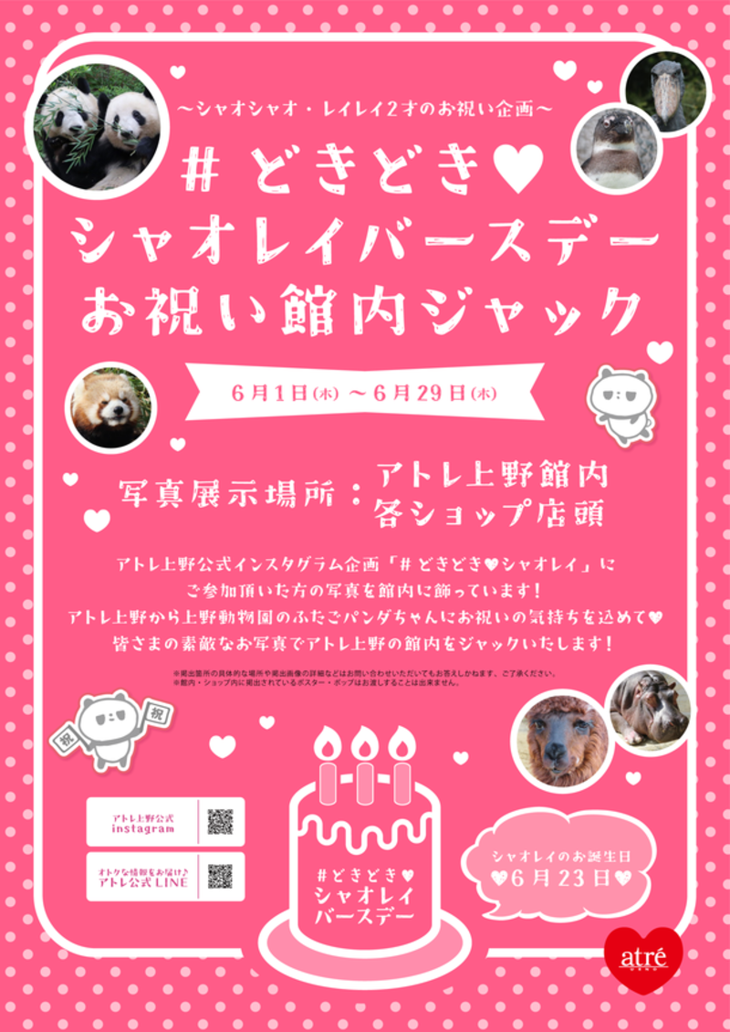 上野動物園ジャイアント双子パンダ「シャオシャオ」「レイレイ」の誕生日記念！6月1日から、アトレ上野館内ポスターやショップの店頭にオリジナルポスターを掲出