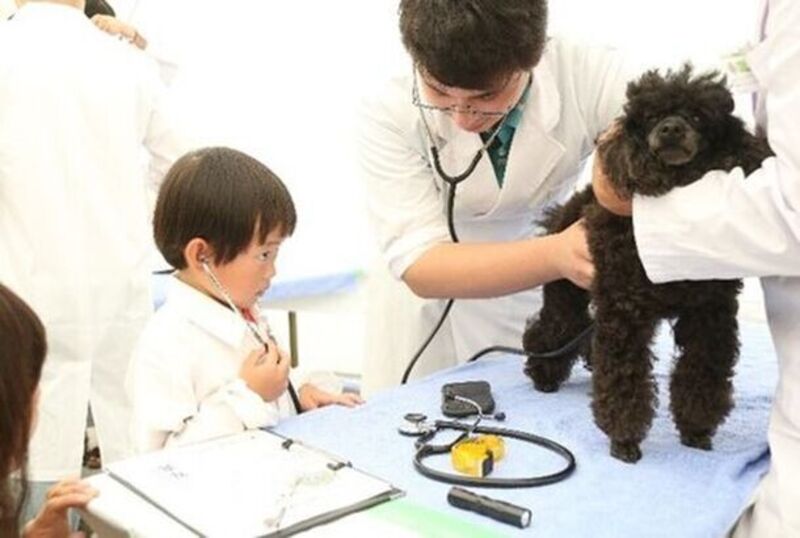 動物とふれあう!「2023動物感謝デー in JAPAN 「World Veterinary Day」11月23日開催