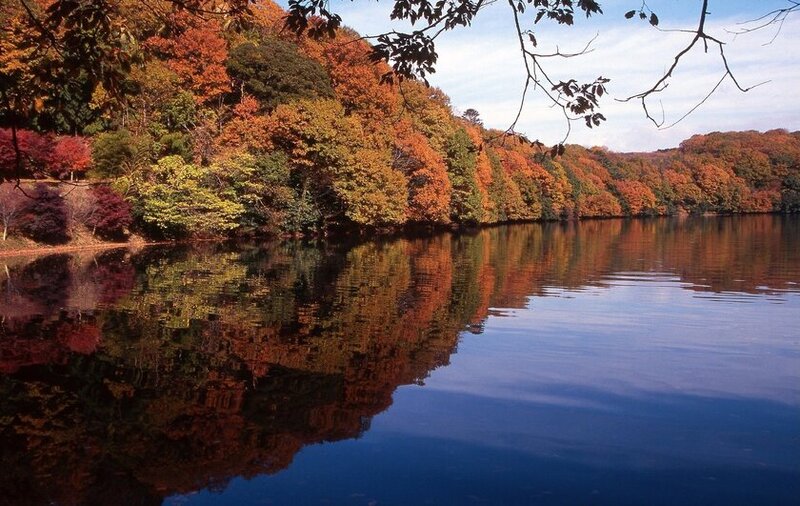 伊東市の一碧湖と丸山公園で紅葉が見頃を迎える