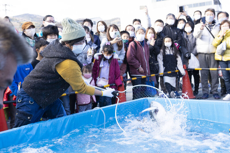 大物産市が伊東市で開催！第31回伊東温泉めちゃくちゃ市