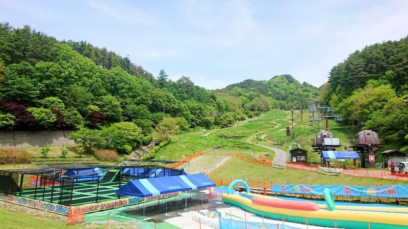 夏休み家族で楽しめる！佐久平ハイウェイオアシスパラダに巨大昆虫とお宝ハンターが登場