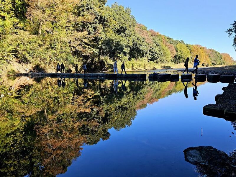 秋の嵐山渓谷の魅力を味わう
『嵐山渓谷紅葉まつりイベントDay』を
嵐山渓谷バーベキュー場で11月29日、30日に開催