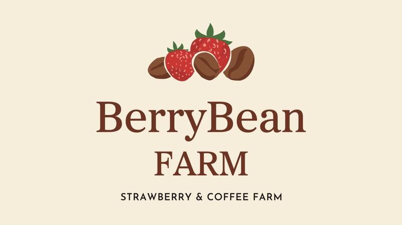 イチゴ狩りとコーヒー　 BerryBeanFARMが観光農園として一般公開