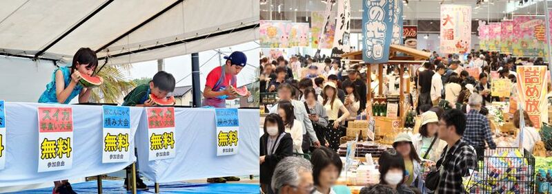 こんにゃくパークで夏フェス2026開催、中山秀征さんトークショーも