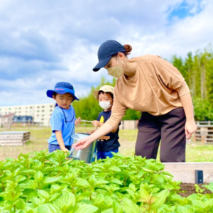「みんなで育てて、みんなで食べる」新しい体験！千葉県市原市のIoTシェアリング農園『Kronosfarm』手ぶらで参加できる無料体験会を3月に実施　
