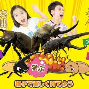 探求心を爆発させて、熱中する力をつけるカブトムシ共同飼育教室