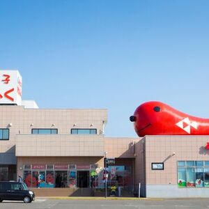 めんたいパーク大洗(茨城県)