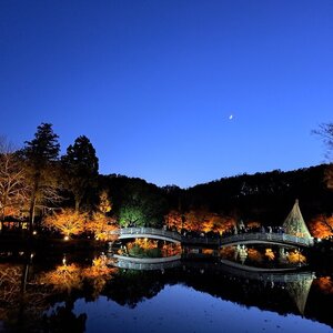 秋色に彩られる町田市、季節感溢れるイベントが盛りだくさん