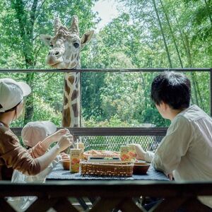 撮影場所：サユリワールド園内「キリンテラス」