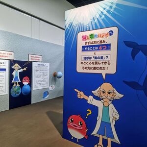 「海と塩のハテナ2025」で塩について学ぼう！ – たばこと塩の博物館