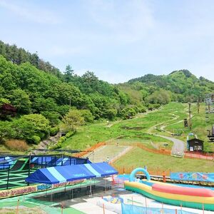 夏休み家族で楽しめる！佐久平ハイウェイオアシスパラダに巨大昆虫とお宝ハンターが登場