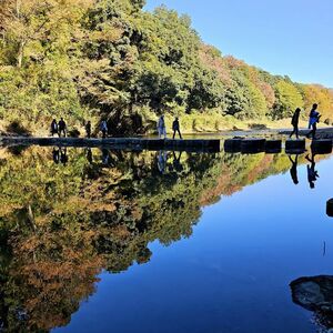 秋の嵐山渓谷の魅力を味わう
『嵐山渓谷紅葉まつりイベントDay』を
嵐山渓谷バーベキュー場で11月29日、30日に開催
