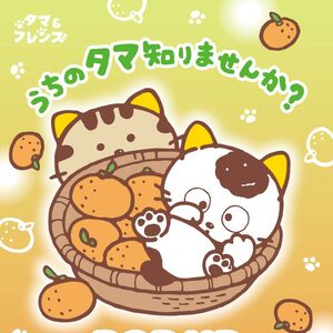「タマ＆フレンズ POP UP STORE」 