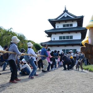 弘前城天守曳家体験(2015年の様子)