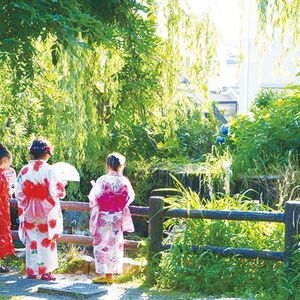 初夏の夜空を彩るホタル観賞イベント「福生ほたる祭」開催