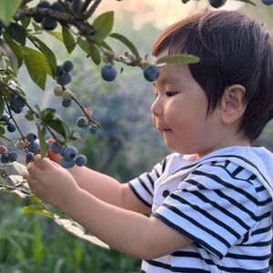 手賀沼ブルーベリーサマー