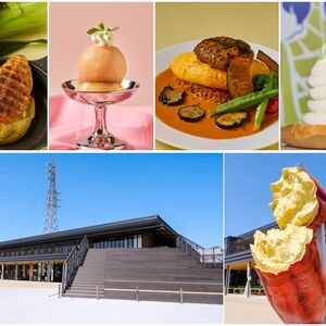 道の駅常総「HOT＆COOL祭り」